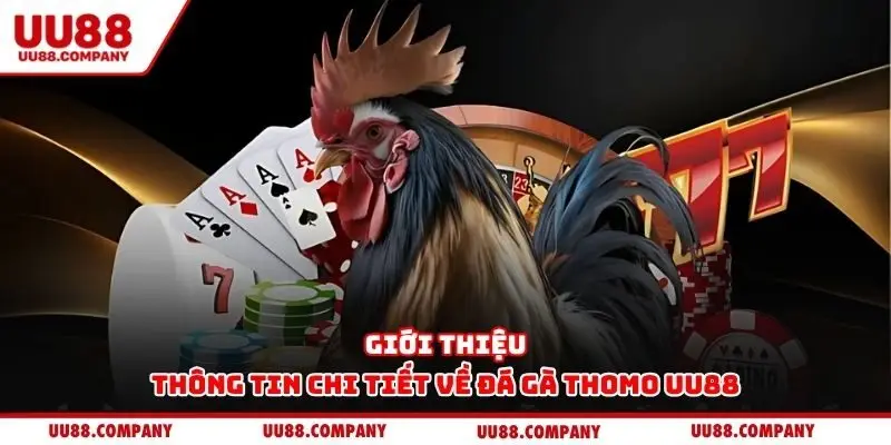 Giới thiệu thông tin chi tiết về đá gà Thomo UU88
