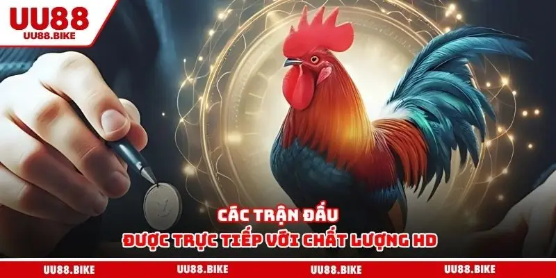 Các trận đấu được trực tiếp với chất lượng HD