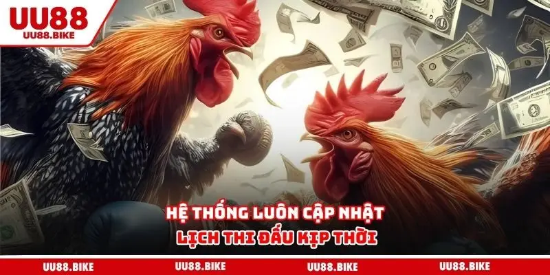 Hệ thống luôn cập nhật lịch thi đấu kịp thời